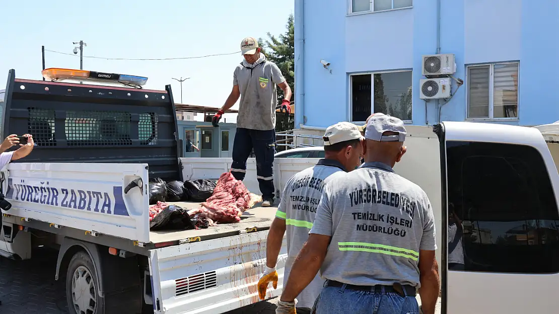 1.5 Ton At ve Eşek Eti İle Yakalattı! Savunması ise Şok Etti