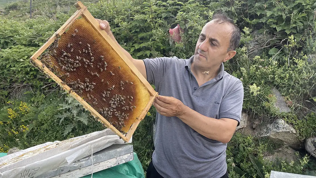 1 Kilo Anzer Balı 4 Bin TL Oldu!