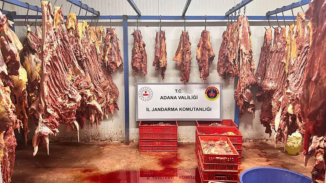 Adana'da kaçak et operasyonu: 3 ton bozulmuş at eti ele geçirildi!