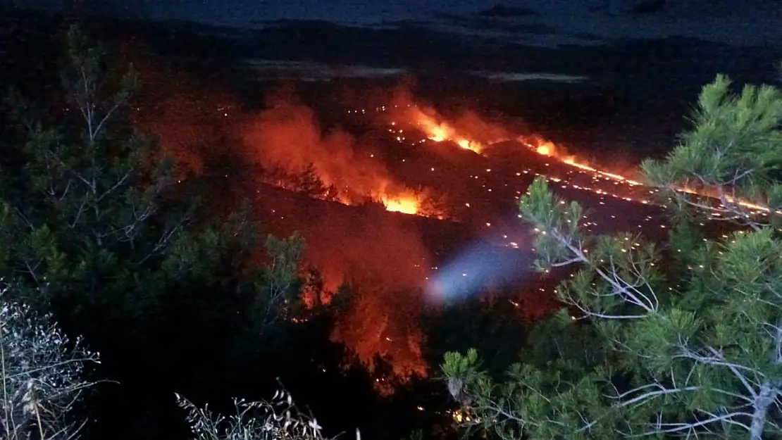 Adana'da Orman Yangını! Ekipler Müdahale Ediyor