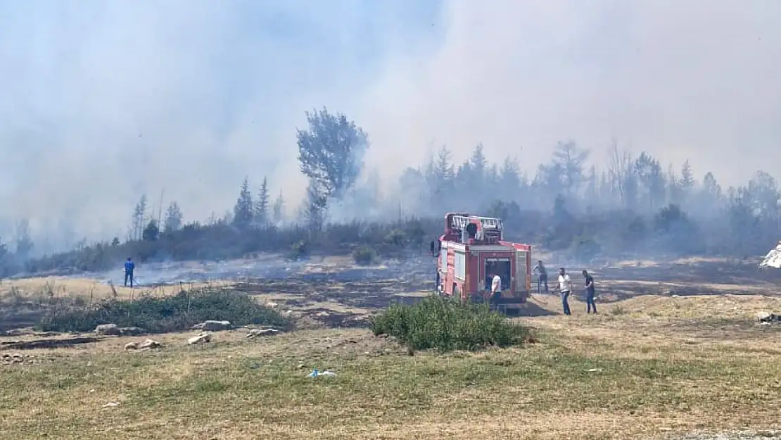 Afyon'da Orman Yangını! Valilik Ateş Yakmayı Yasakladı