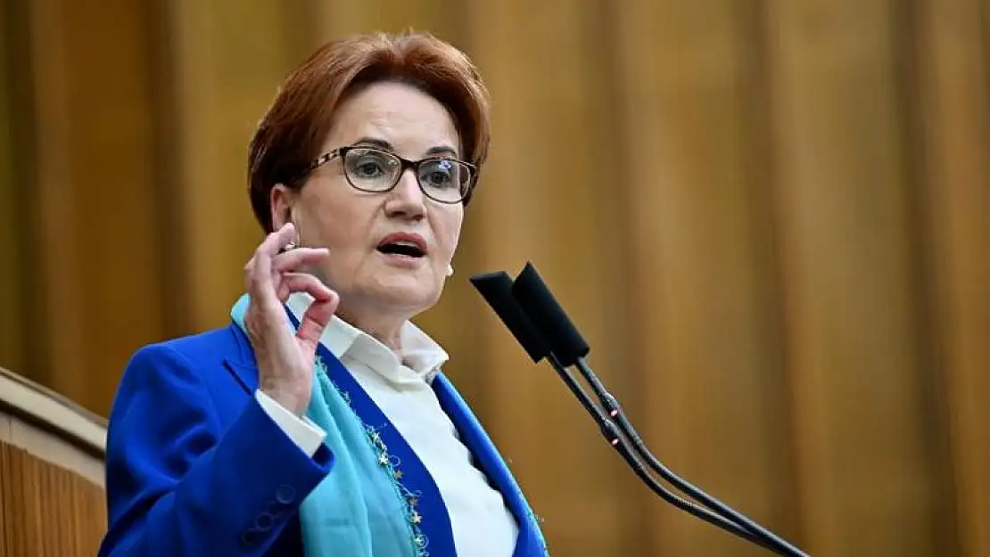 Akşener'den Gözaltı Tepkisi