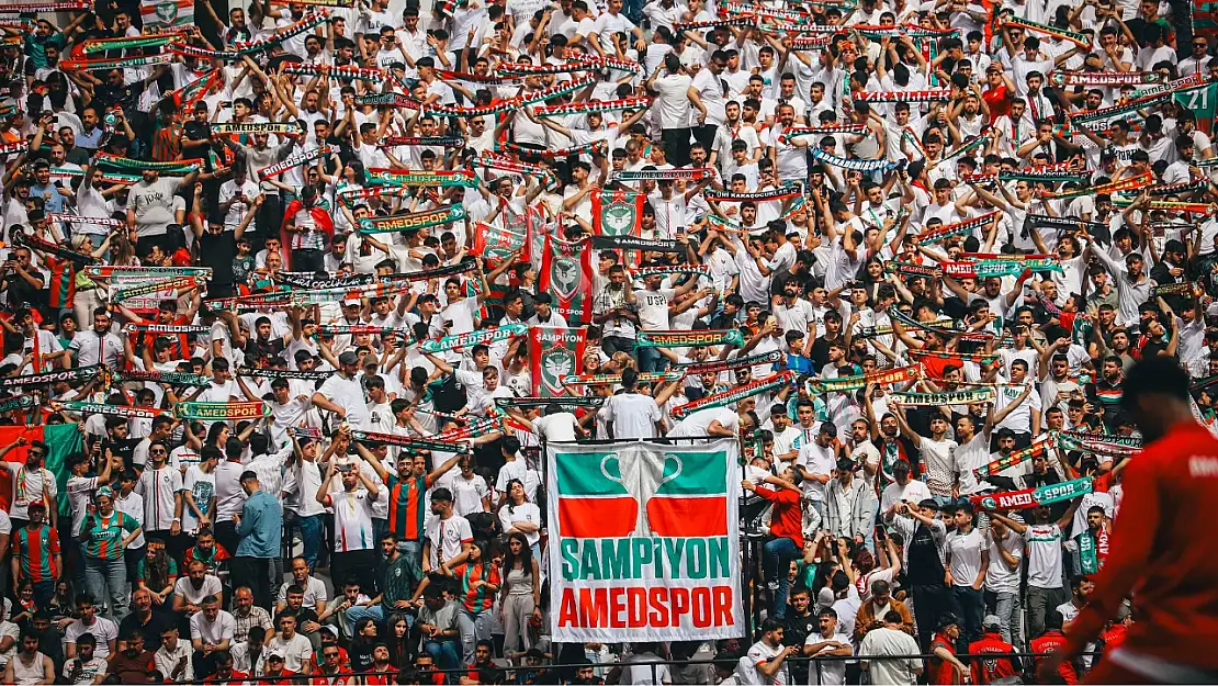 Amedspor TFF 1.Lig'e Yükseldi