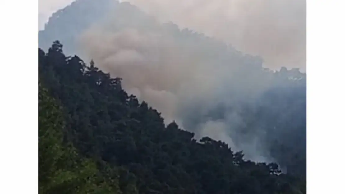 Antalya Kemer'de Orman Yangını