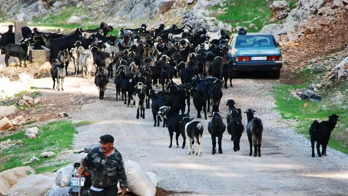 Antalyalı yörükler yayladan dönüşe geçti