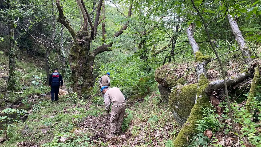 Arama Çalışmaları Sürüyor: Korhan Berzeg'e Ait Yeni Bulgulara Ulaşıldı