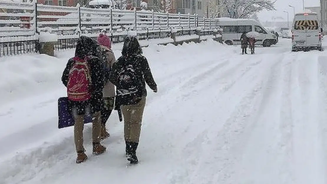 Ardahan ve Bingöl Karlıova'da eğitime kar engeli