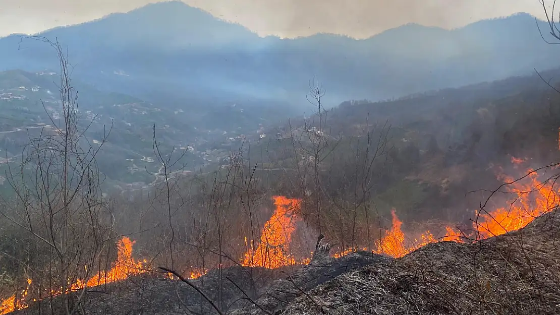 Artvin Hopa'da orman yangını