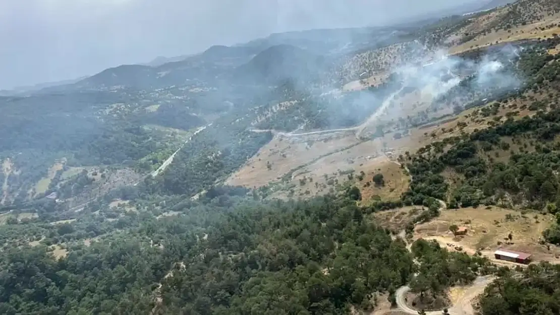 Balıkesir'de orman yangını, ekipler müdahale ediyor