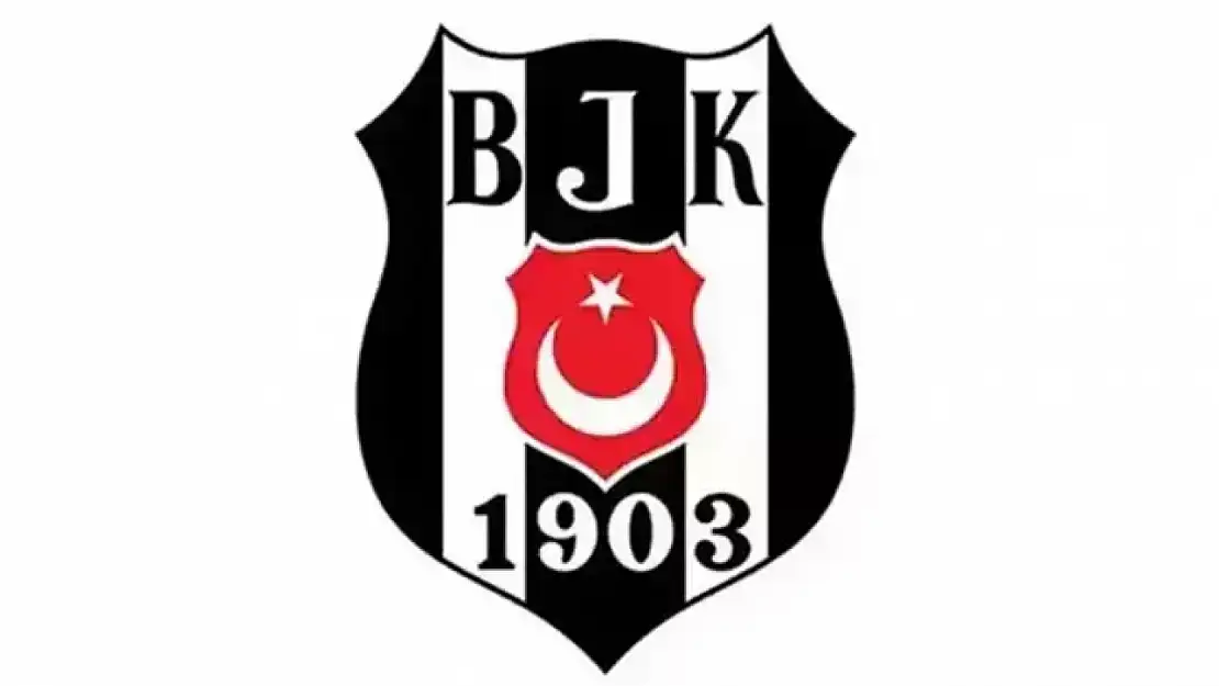 Beşiktaş'ta Hasan Arat ve Tevfik Yamantürk'e ihraç istemi