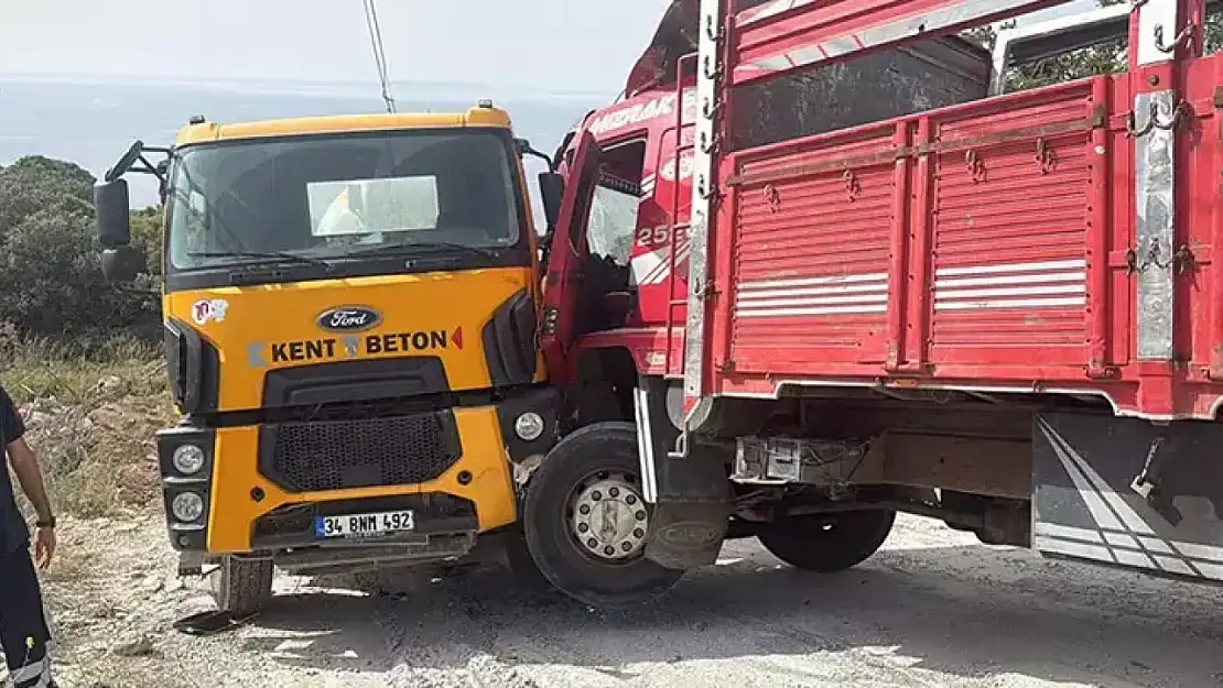 Beton mikseri ile kamyonun arasında sıkışan sürücü öldü