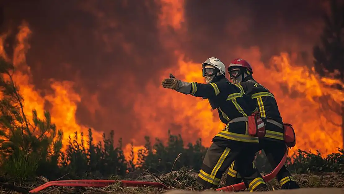 Bodrum Alevlere Teslim! Orman Yangını Saatlerdir Söndürülemiyor