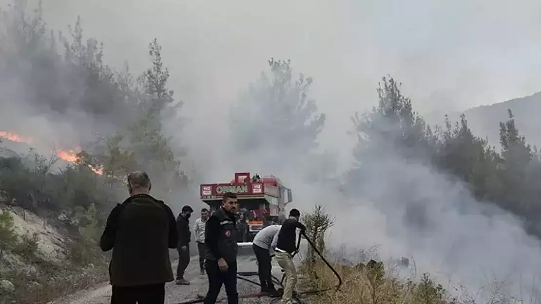 Bursa'da çıkan yangın Balıkesir Dursunbey'e de sıçradı