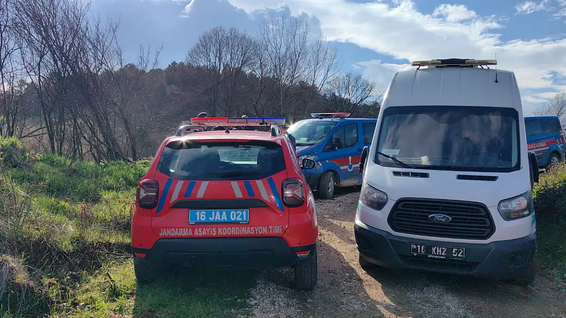 Bursa'da ormanda ağaca asılı ceset bulundu