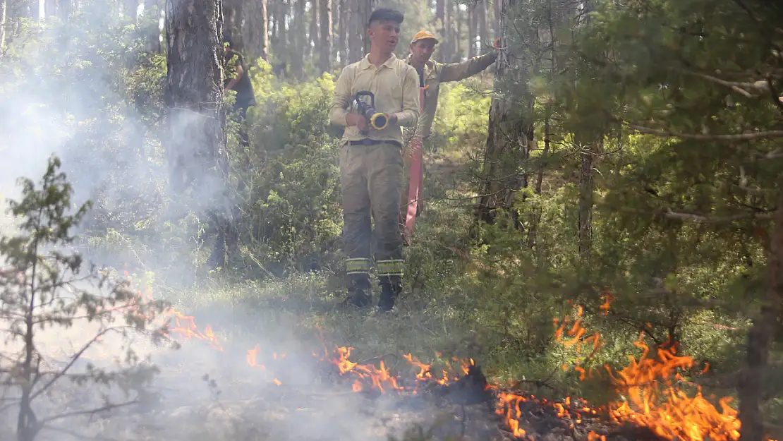 Bursa'daki Orman Yangını 8 Saat Sonra Kontrol Altına Alınabildi