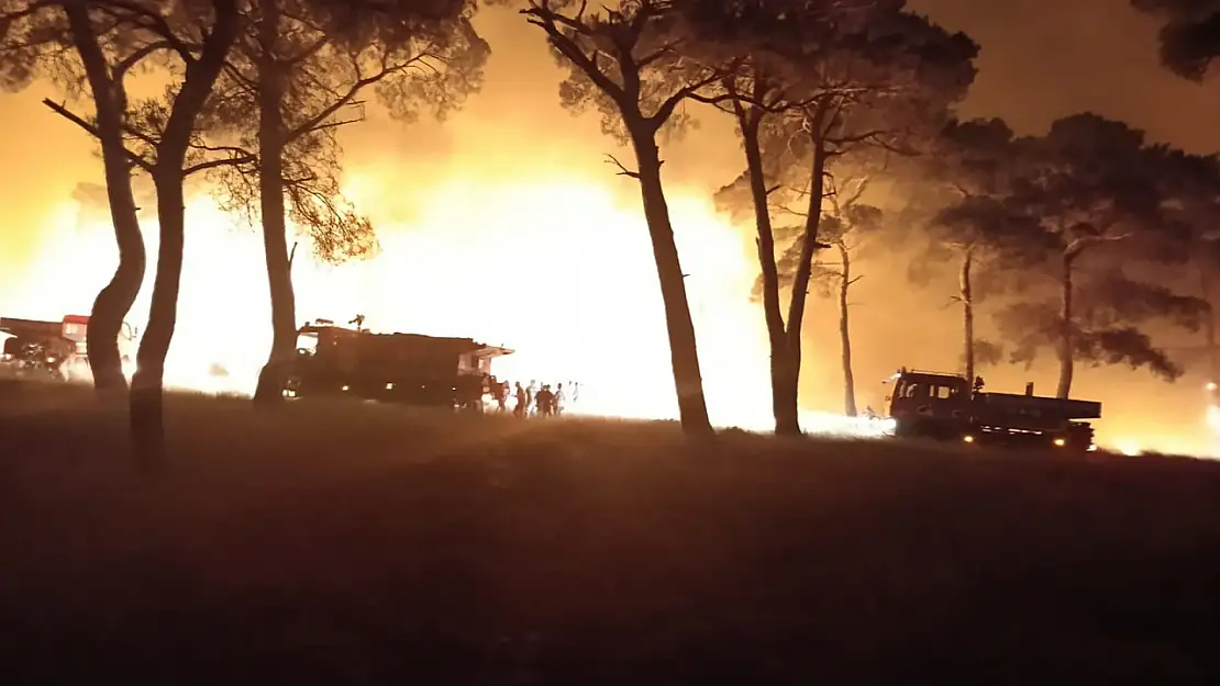 Çanakkale'de Tarım Arazisinde Çıkan Yangın Ormana Sıçradı