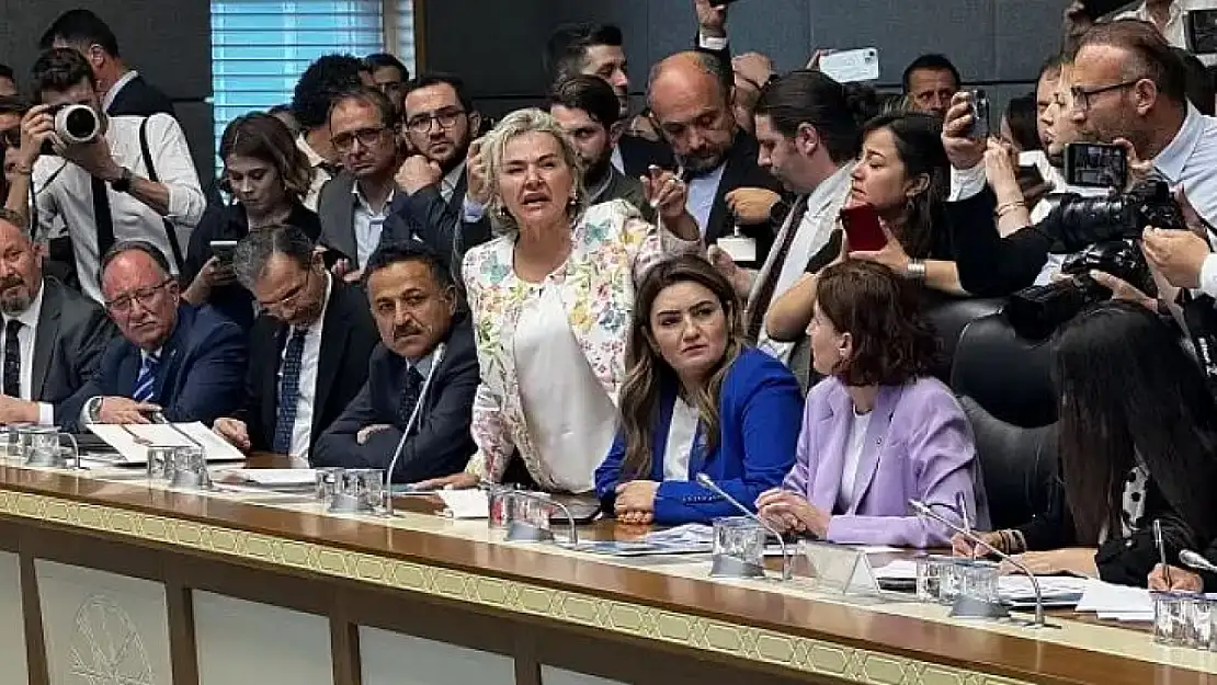 CHP ve DEM Parti Milletvekillerinin Sokak Köpeği İmtihanı!