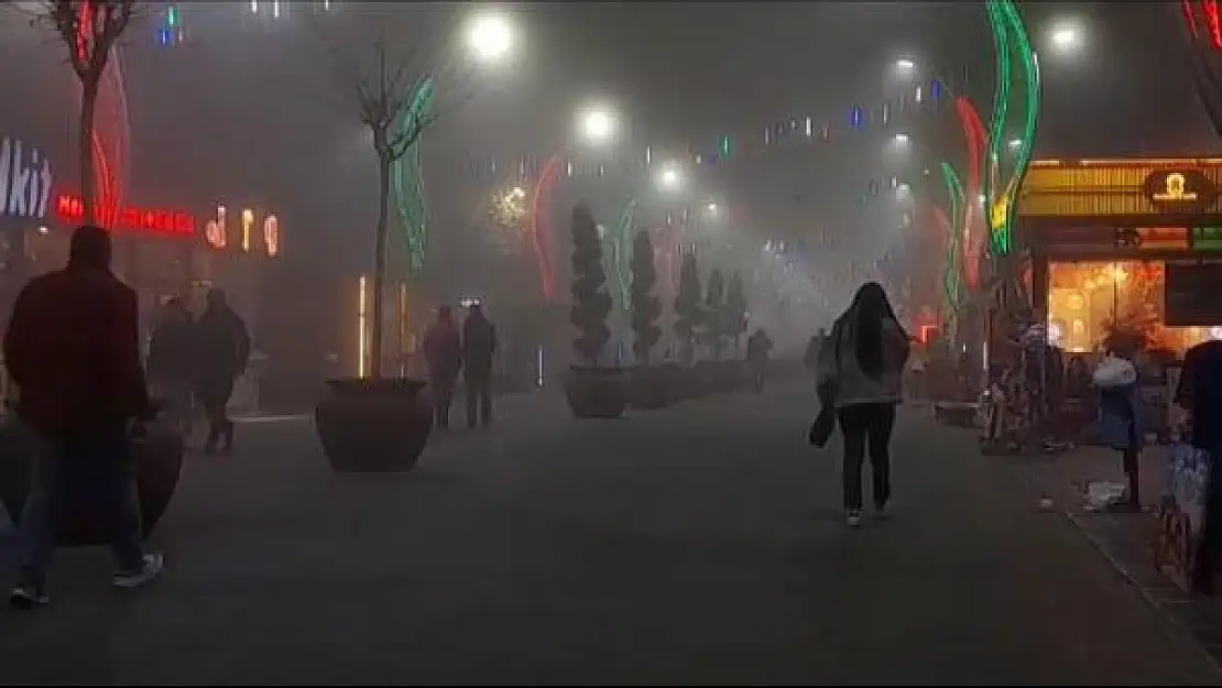 Diyarbakır'da hava trafiğine sis engeli