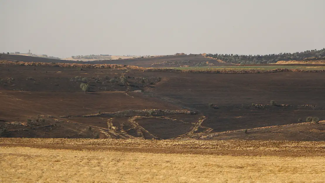 Diyarbakır'da Yangınının Boyutu Gün Ağarınca Ortaya Çıktı