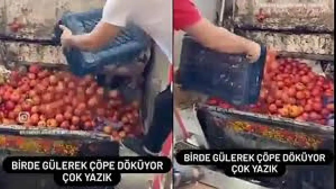 Domatesleri Çöpe Dökenlere 123 Bin Lira Ceza