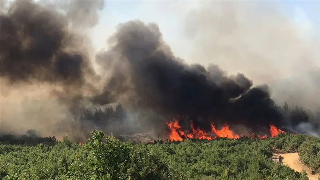 Edirne'de Örtü Yangını 3 Köye Sıçradı!