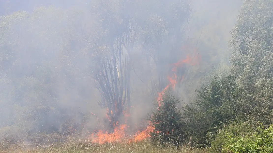 Elazığ'da Orman Yangını! 4 Saattir Müdahale Ediliyor