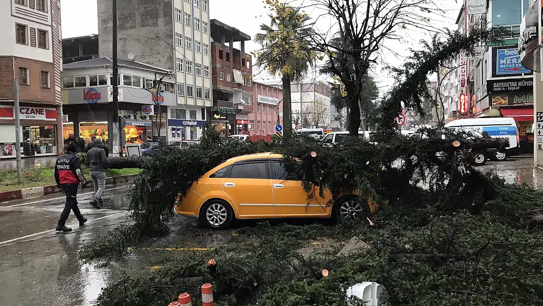 Fırtına Rize'de yıktı geçti