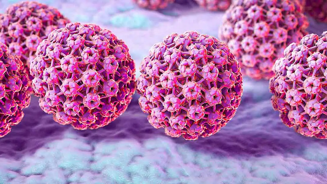 Gittikçe yaygınlaşan HPV (papilloma virüsü) nedir?