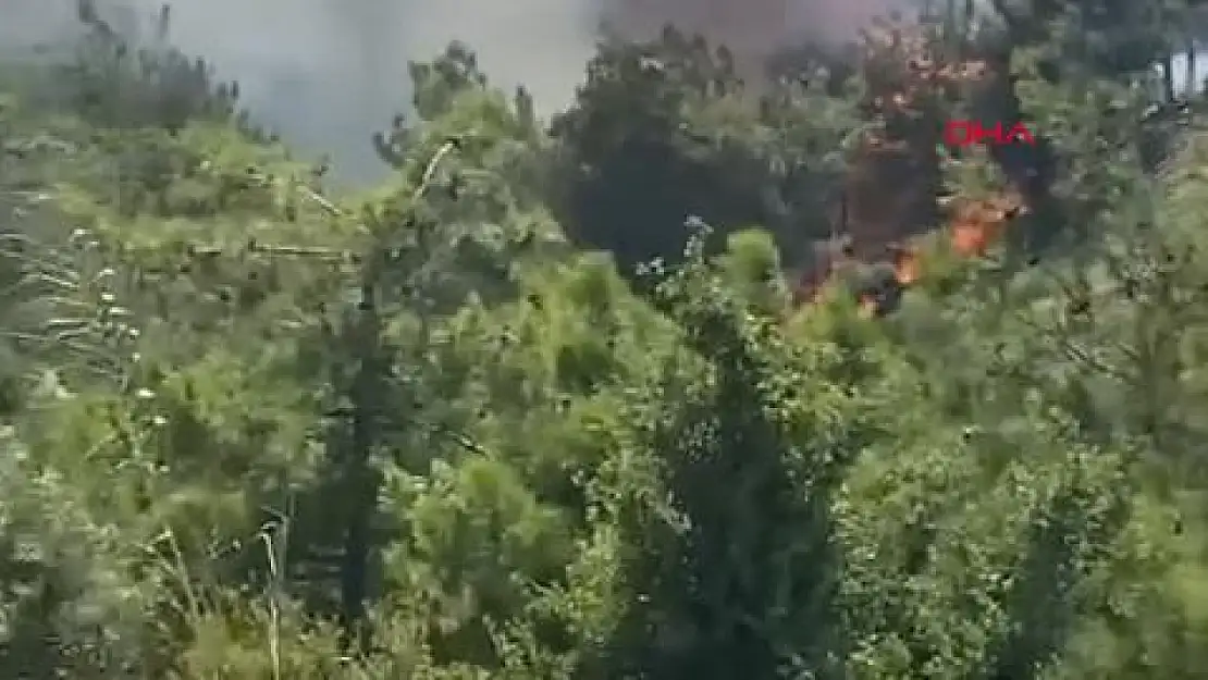 Hatay'da Orman Yangını! Vatandaşlar Evlerini Terkediyor