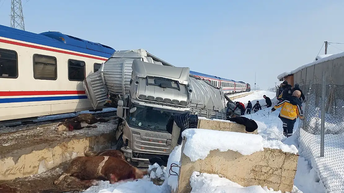 Hayvan yüklü tıra tren çarptı: Ölü ve yaralılar var