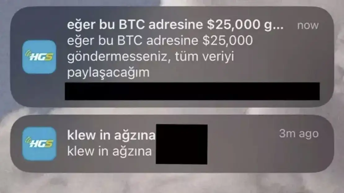 HGS'yi Neden Hacklediklerini İtiraf Ettiler! Yakalanan 2 Kişiden 1'i Serbest Bırakıldı