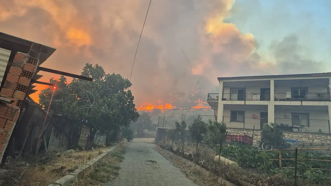 İzmir'de orman yangını kontrol altına alındı! Yangının faili gözaltına alındı