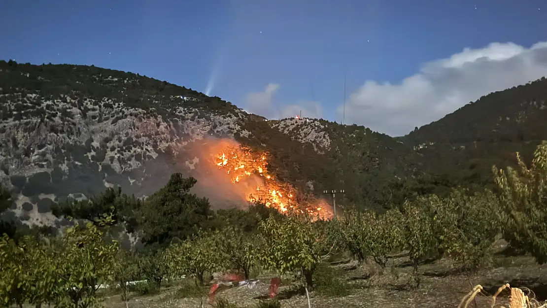 İzmir Kemalpaşa'da Orman Yangını! 3 Saatte Söndürüldü