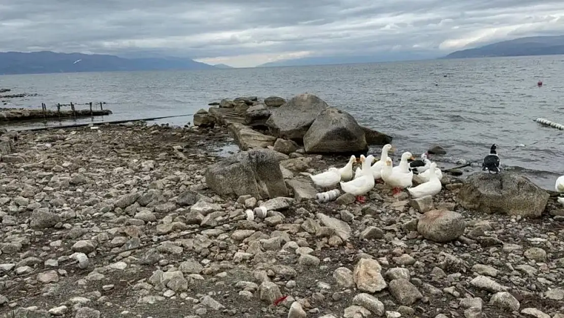 İznik Gölü çekildi 2 bin yıllık yapı ortaya çıktı