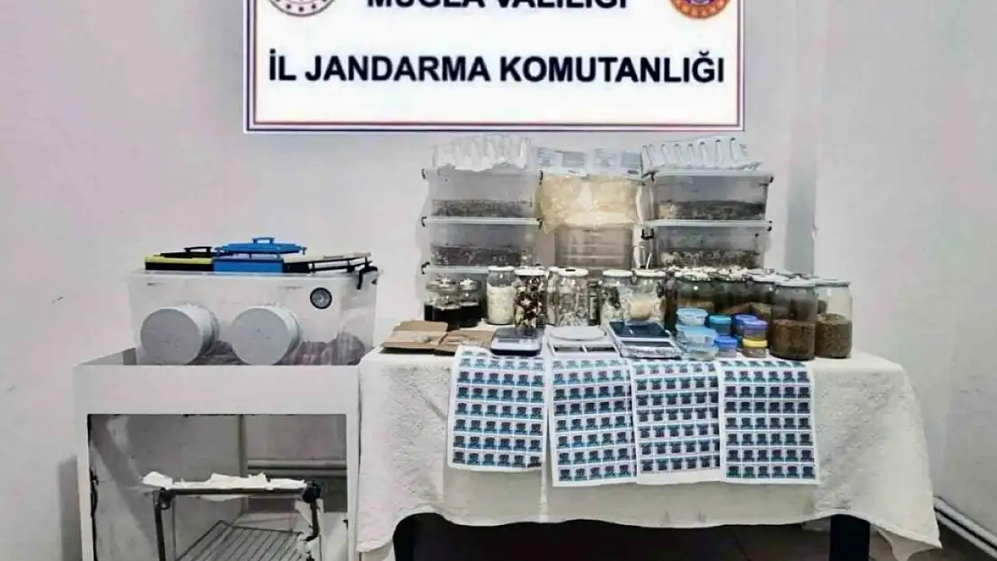 Jandarmadan operasyon: 110 milyon TL değerinde 22 kilo uyuşturucu ele geçirildi