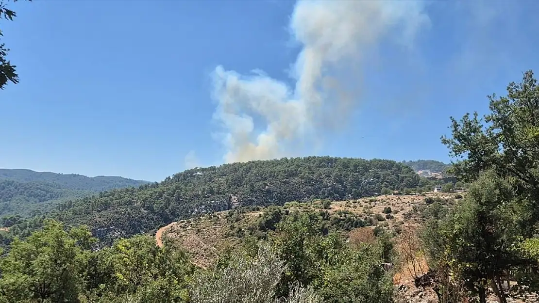 Kaş'ta orman yangını! Müdahale devam ediyor