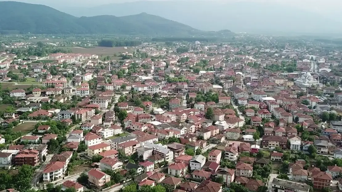 Kaza Yaptı Kendini Yumrukladı