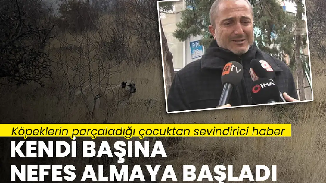 Köpeklerin parçaladığı çocuktan sevindirici haber: Kendi başına nefes almaya başladı