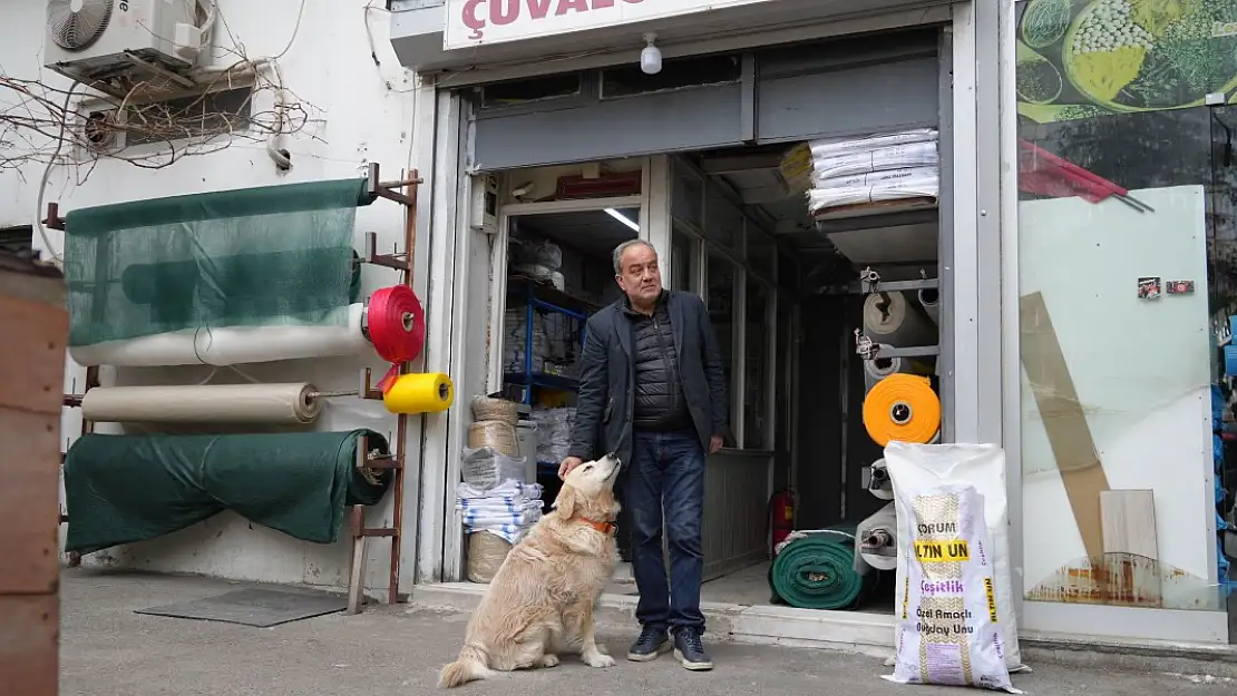 Köpekten Sahibini 700 Bin TL Zarara Uğratan Havlama