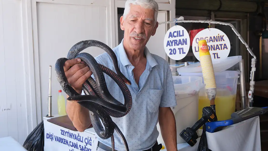 Koynunda Beslediği Yılanların Hışmına Uğradı!