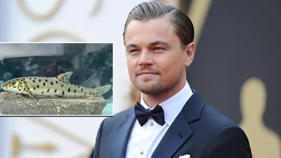 Leonardo Di Caprio: &quotTürkiye'deki Bu Keşfi Umut Verici"