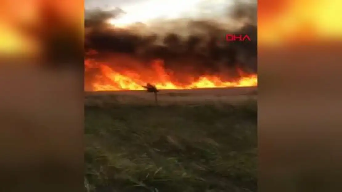 Malatya'da 10 Dönüm Ekili Buğday Kül Oldu