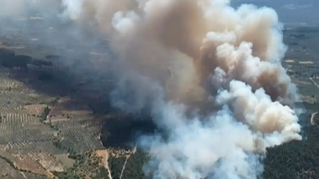 Manisa'da Orman Yangını: Karadan ve Havadan Müdahale Ediliyor