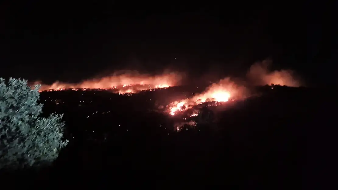 Mardin'de Gece Saatlerinde Korkutan Yangın