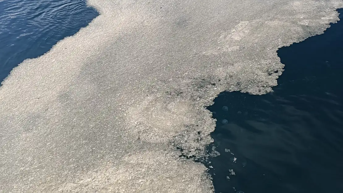 Marmara Denizi'nde Müsilaj Tehlikesi! Bakanlık İki Belediyeye Ceza Kesti