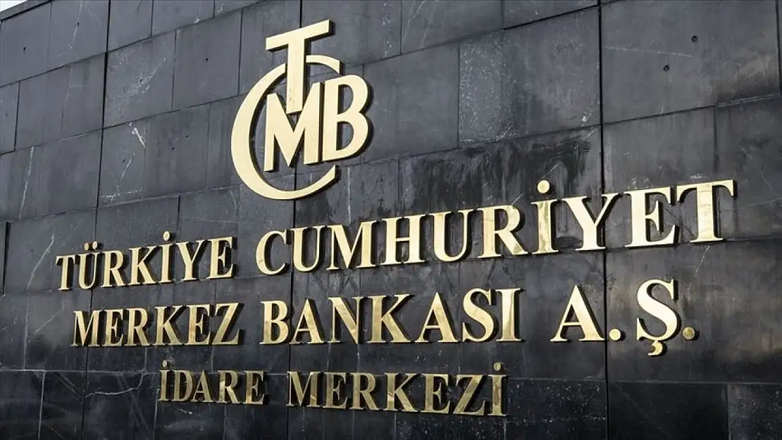 Merkez Bankası'ndan Son Zamanlardaki En Yüksek Döviz Alımı