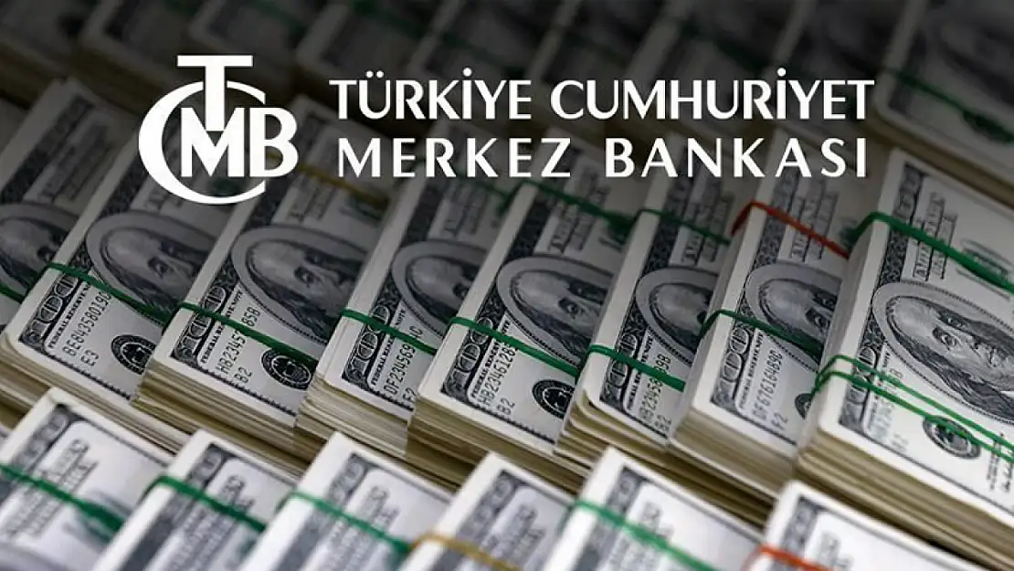 Merkez Bankası Rezervlerinde Tüm Zamanların Rekoru Kırıldı