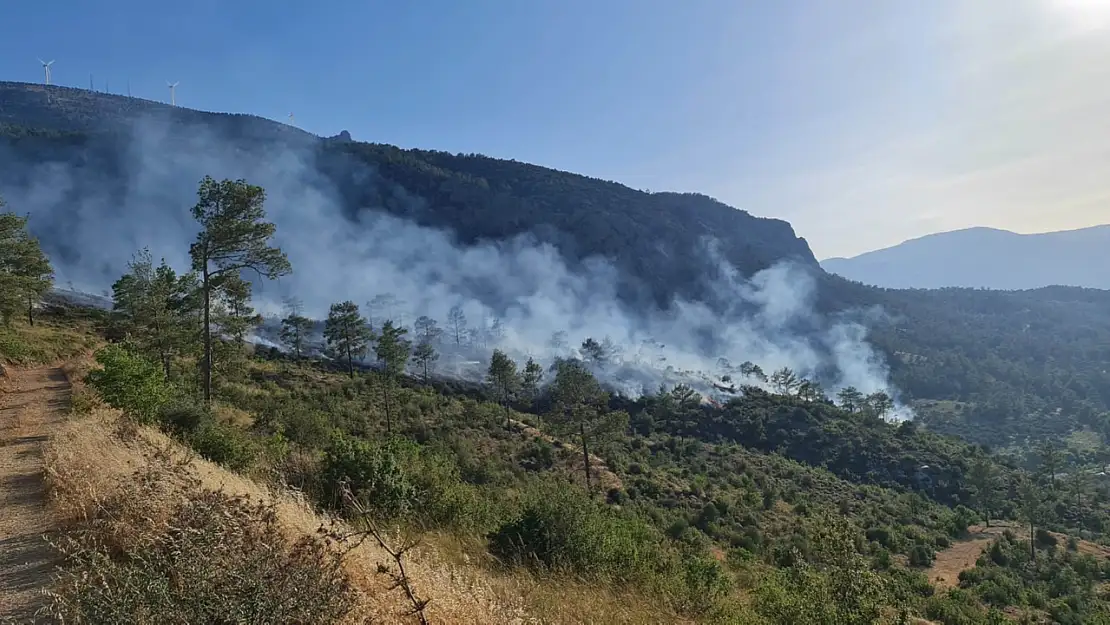 Mersin'de Korkutan Orman Yangını
