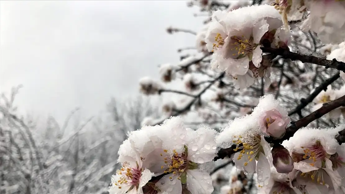 Meteoroloji'den Zirai Don Uyarısı! 18 Ekim 2024 Hava Durumu