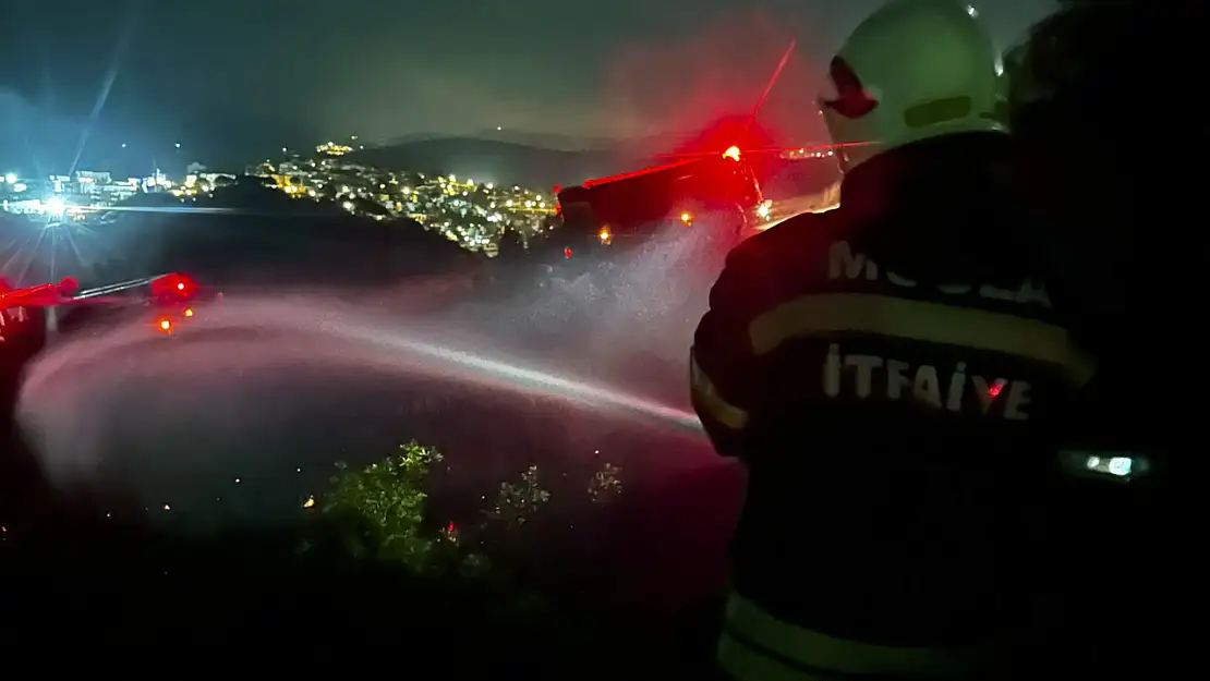 Muğla'da Orman Yangını